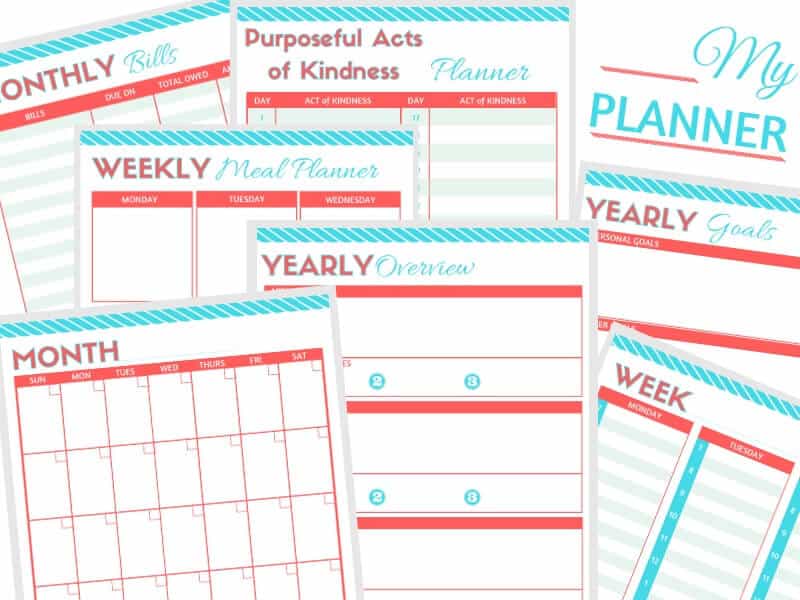 A collection of Organized 31 Shop's Printable Calendars & Planners in a variety of vibrant colors, perfect for boosting productivity and achieving optimal organization.