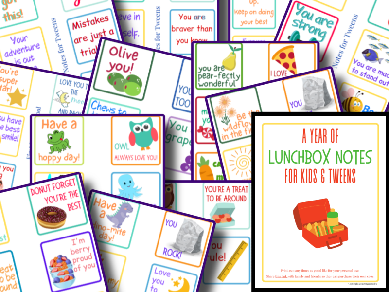 A collection of Organized 31 Shop's Lunch Box Notes Bundle for kids.
