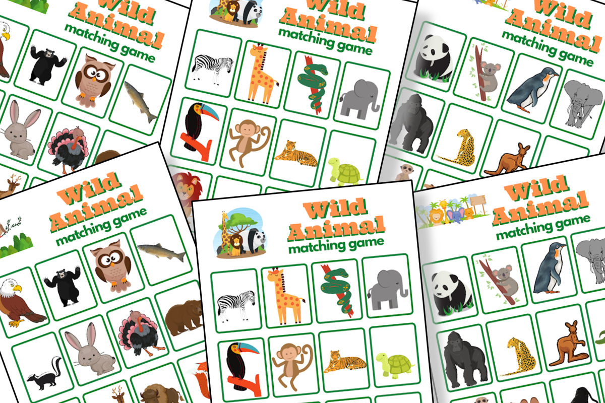 A set of Wild Animal Matching Game cards with different animals on them from the Organized 31 Shop.